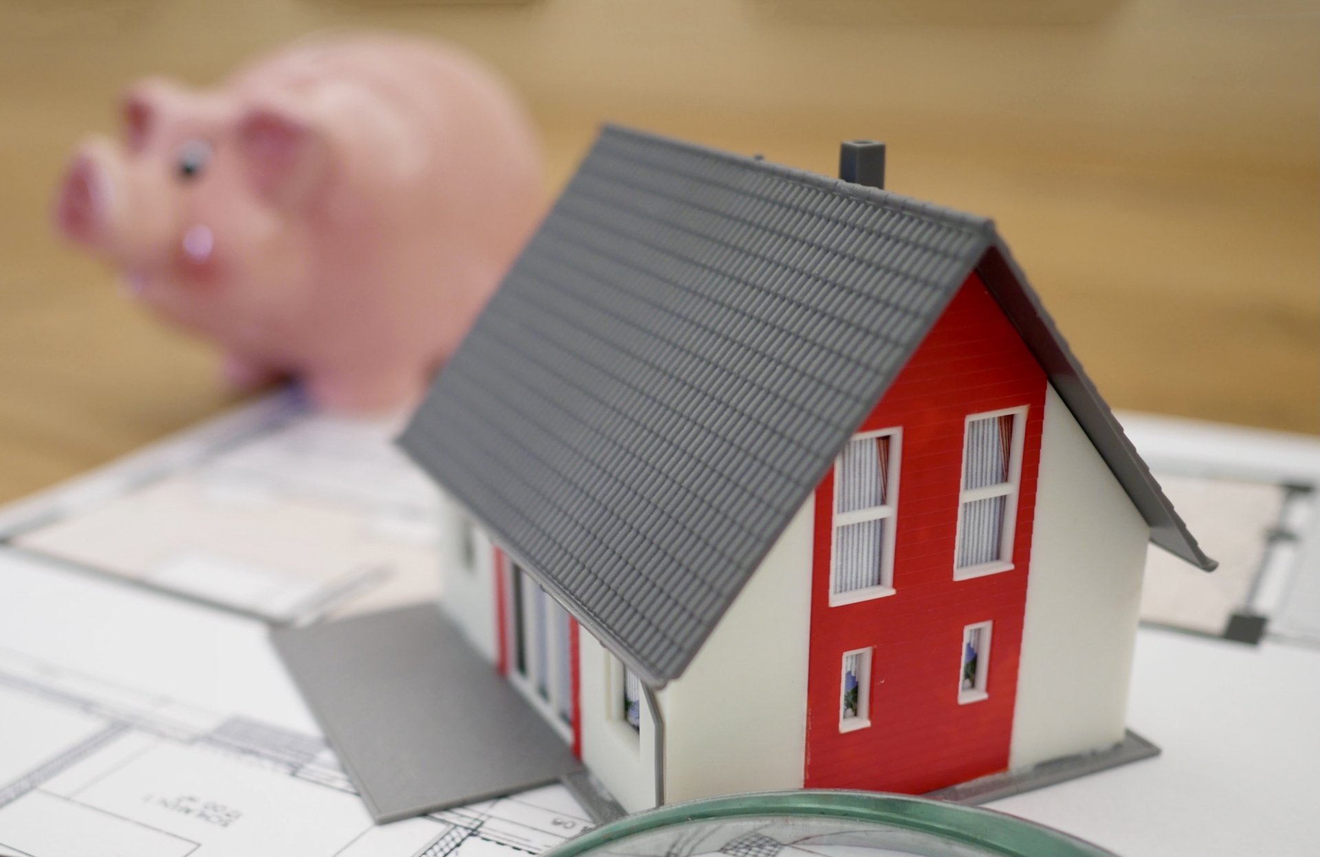 Model of a house with a pig in the background.