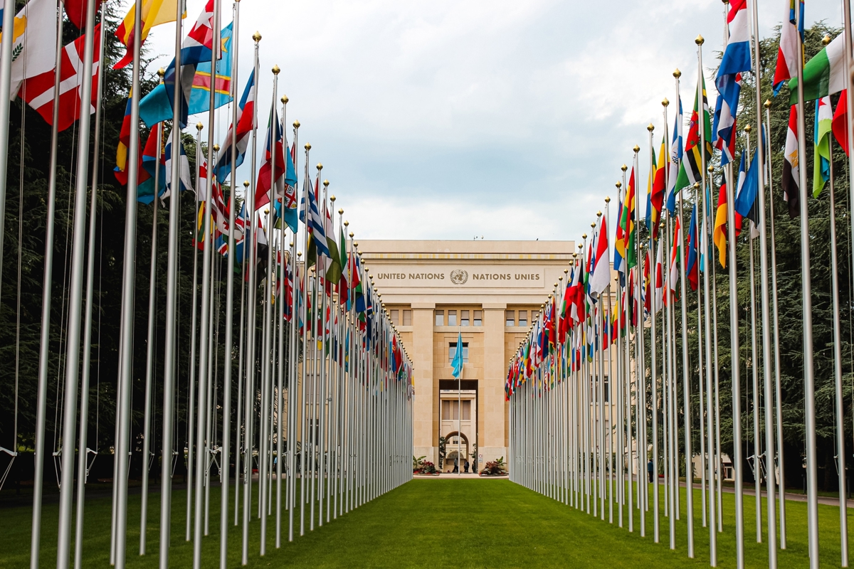 Grass lawn lined with flags of many nations in front of a UN building