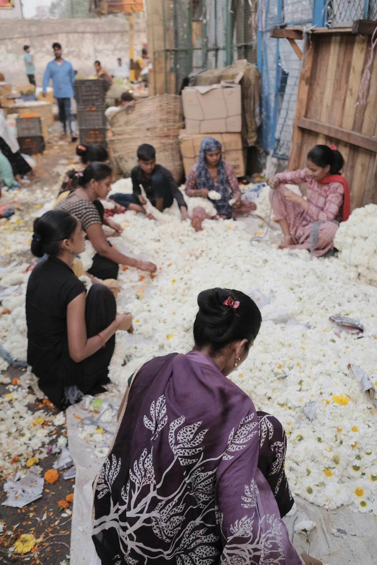 Cotton processing in Pakistan. A group of five women and one man are sitting on the floor sorting cotton.