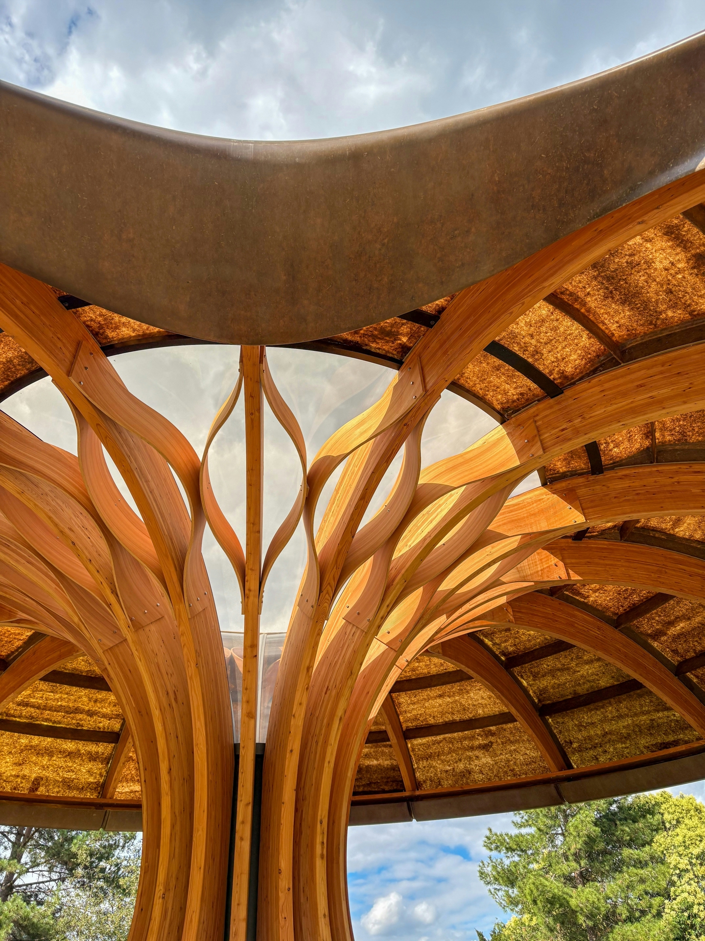A man-made tree-like structure made of wood.