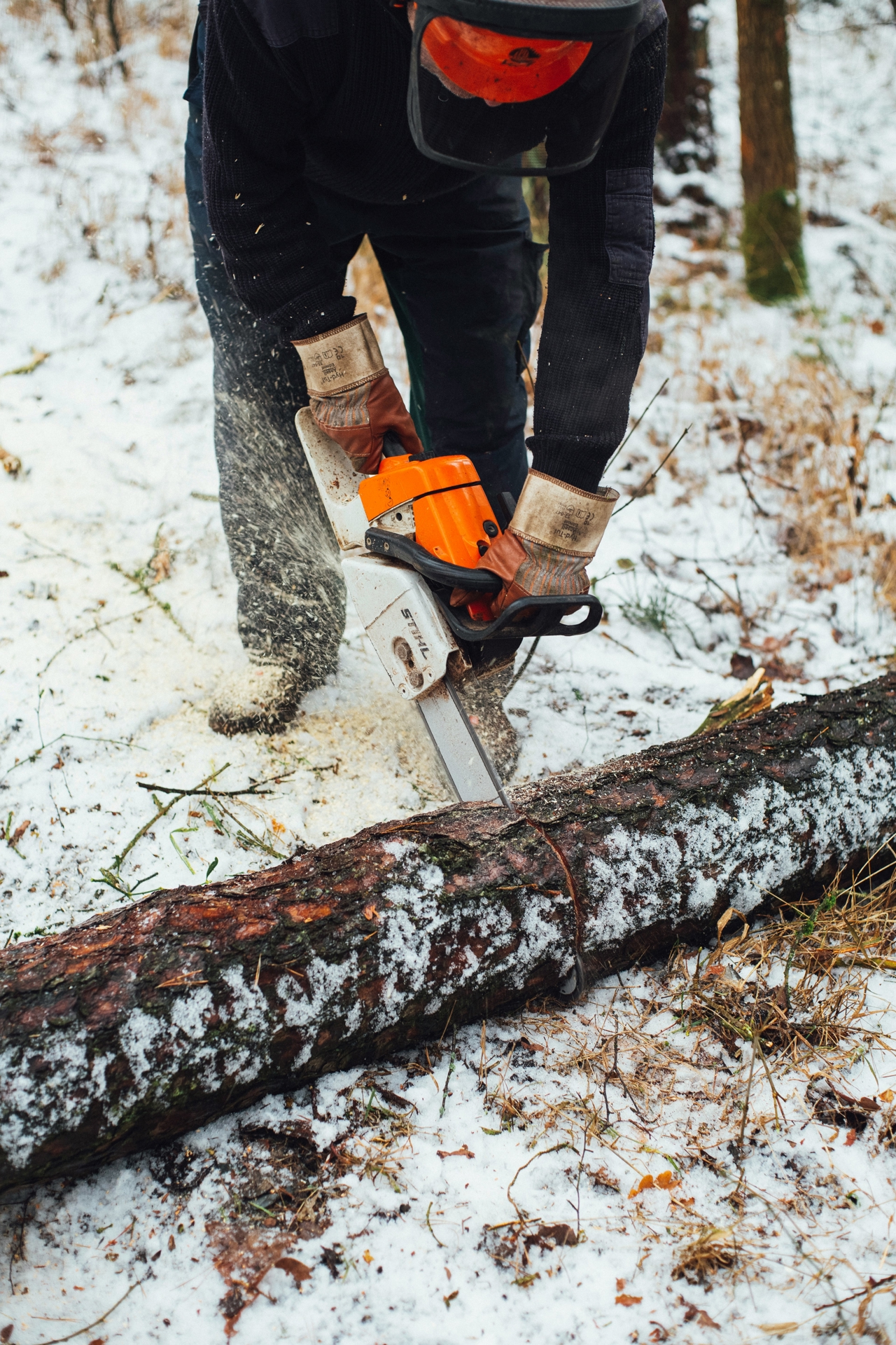 Forest owner cutting down a tree in a snow-covered forest.