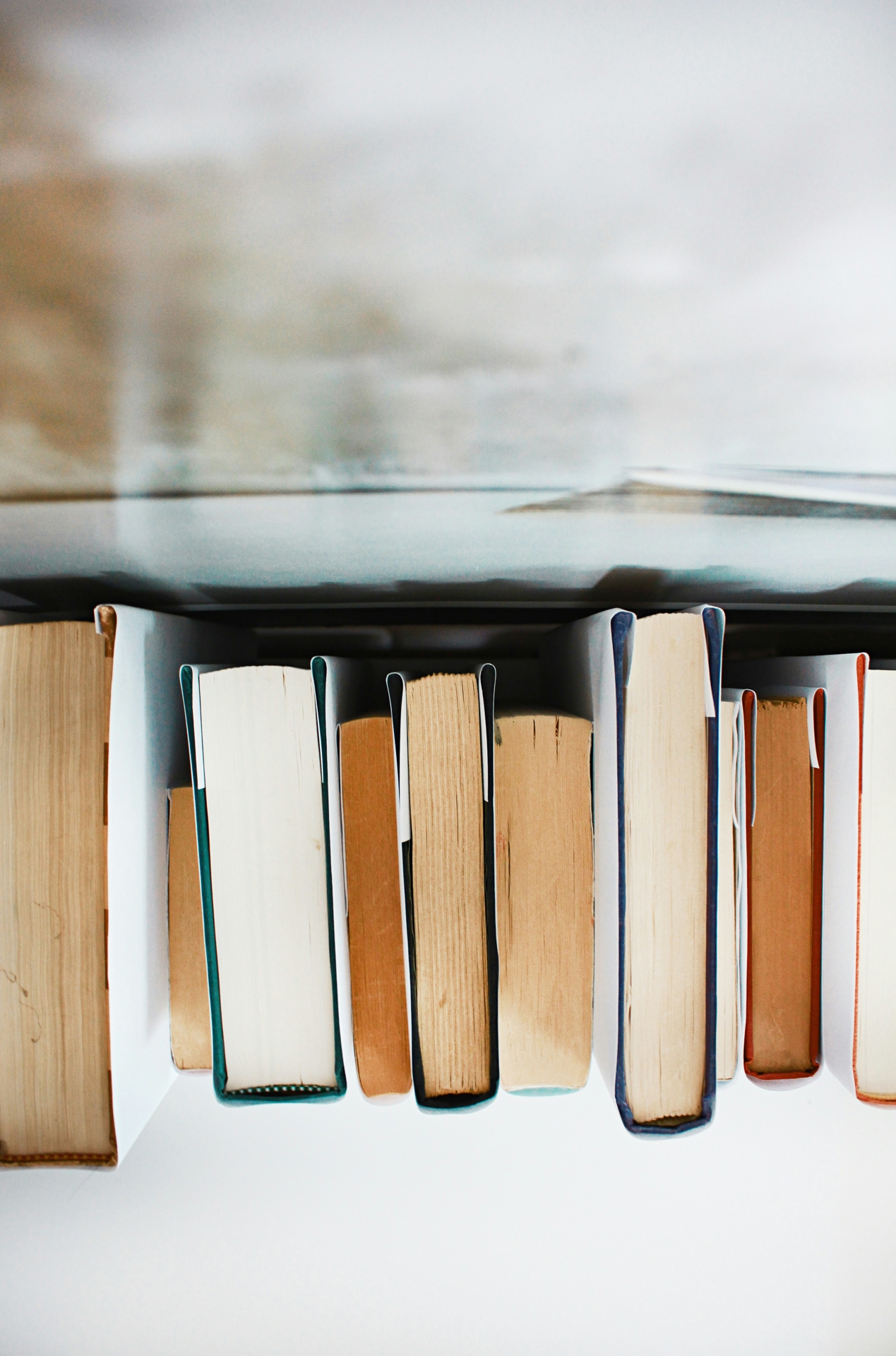 Birds-eye view of textbooks standing on a shelf against a white background