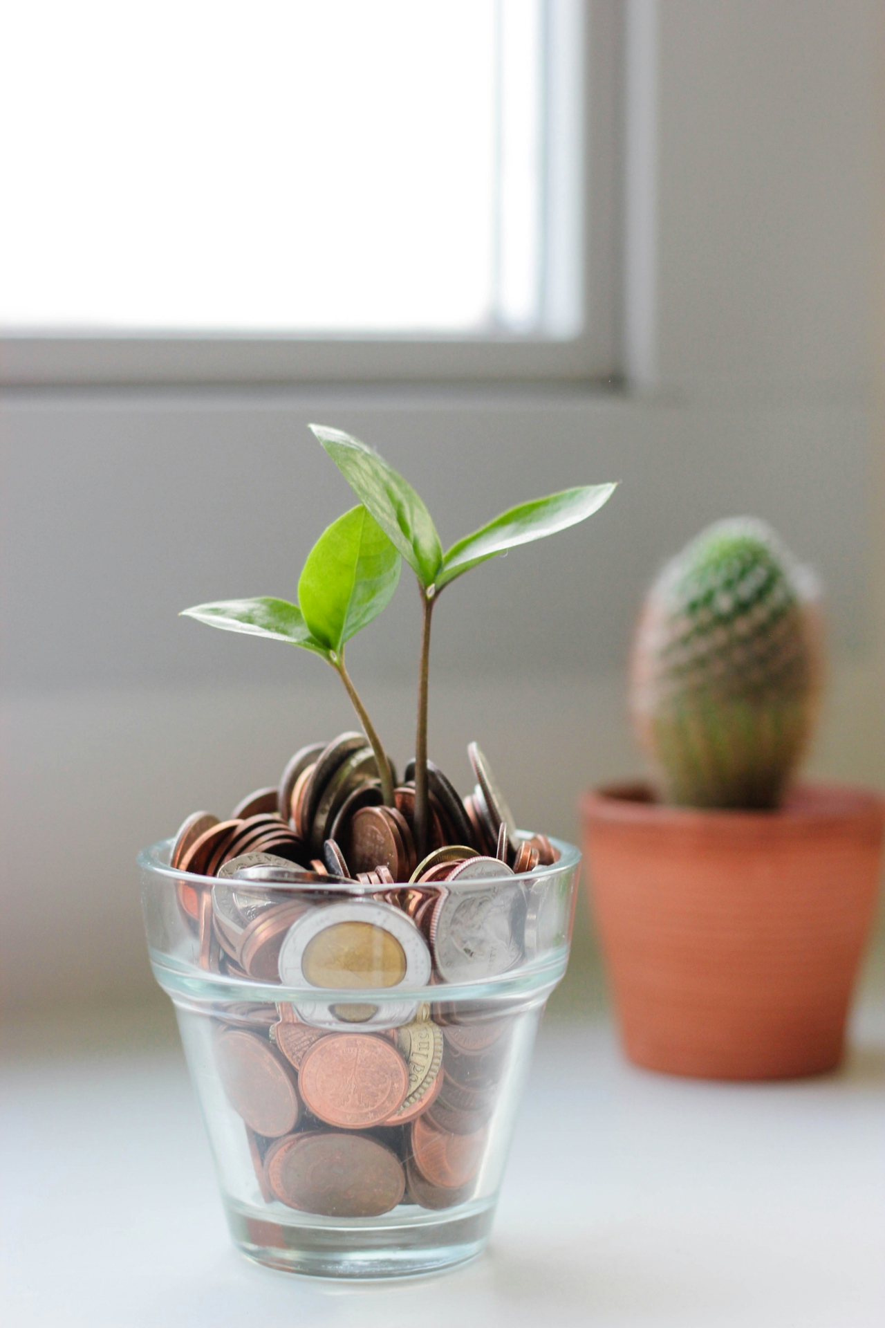 Glass full of coins with a small plant growing in the middle. 