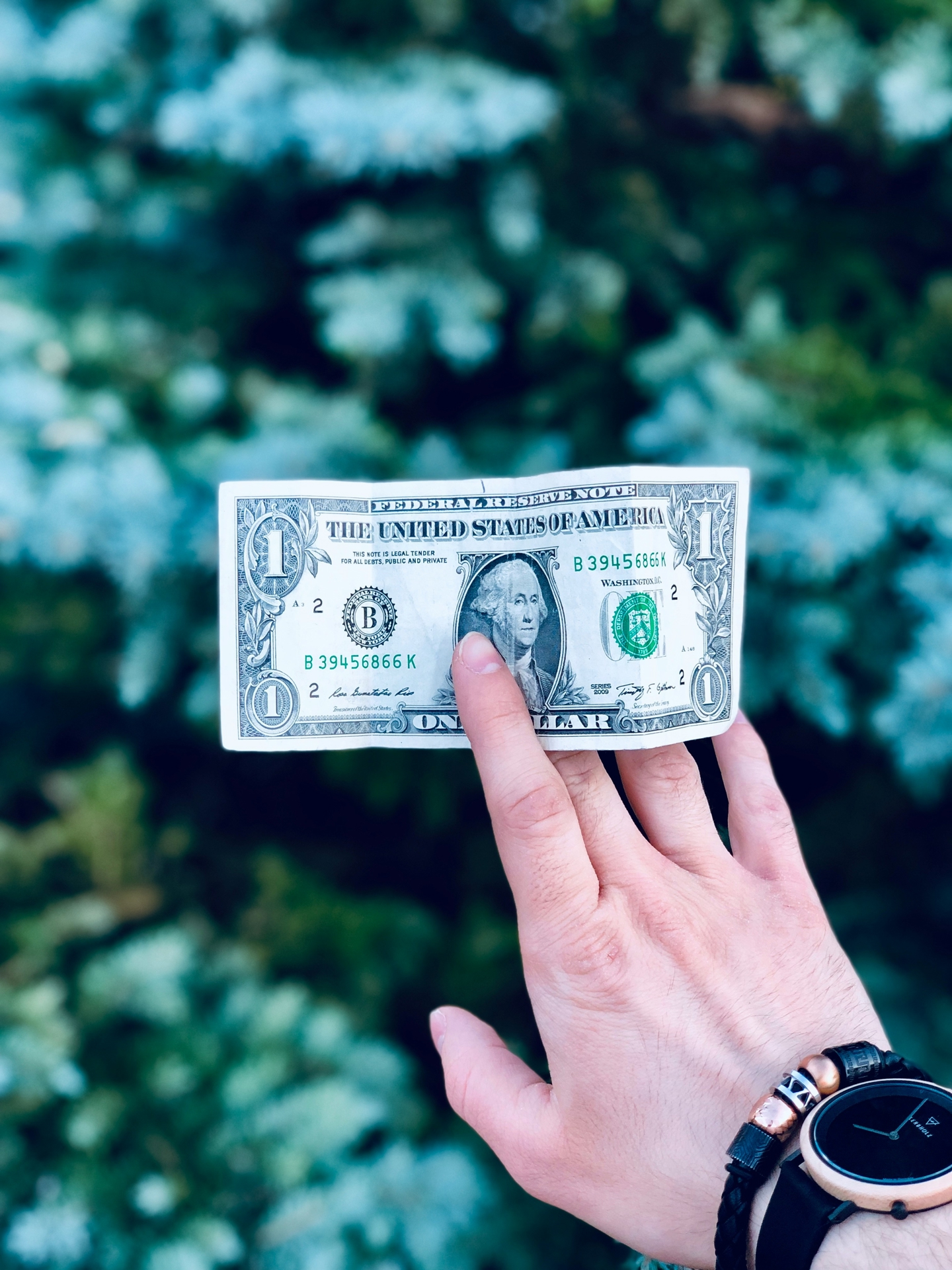 Hand holding up a money bill against green foliage.